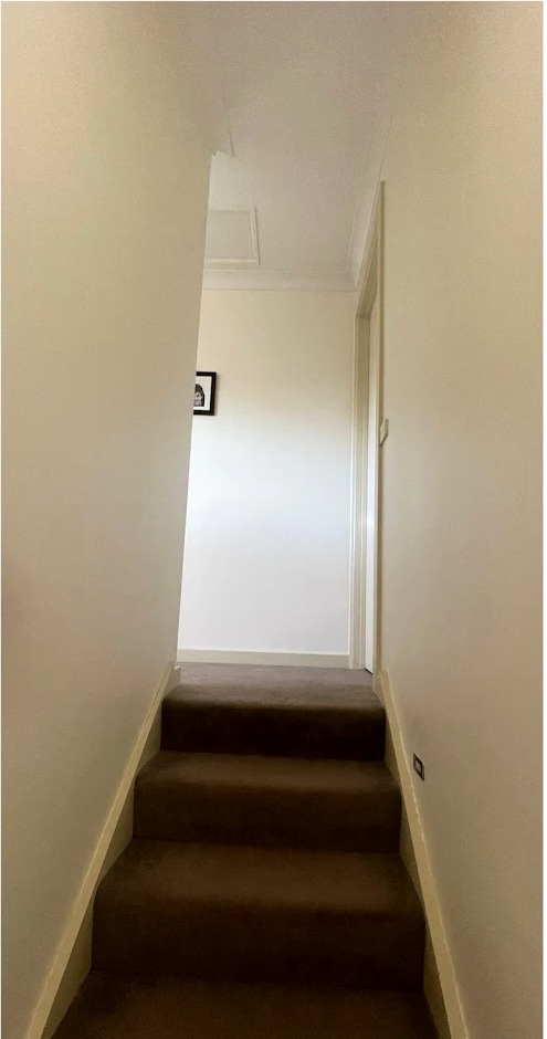 Freshly repainted residential stairwell